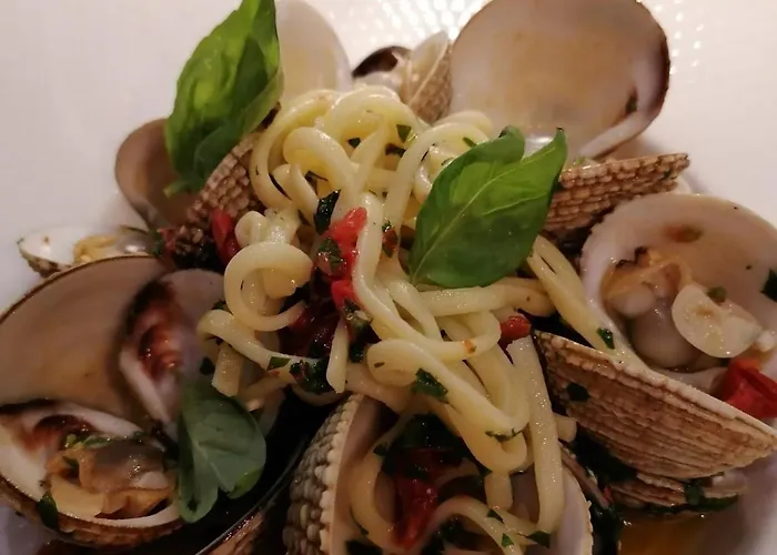 Mirna - What Is What Get 公寓 奥帕提亚