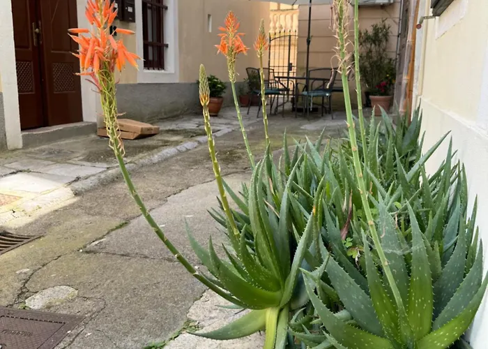 Mirna - What Is What Get