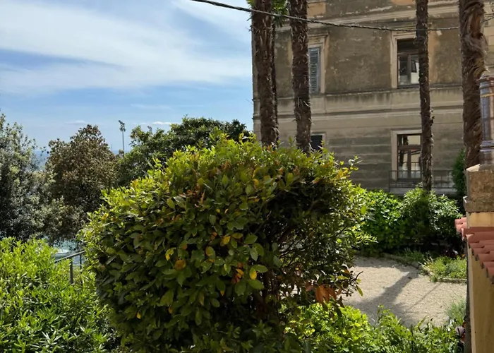 Mirna - What Is What Get Apartament *