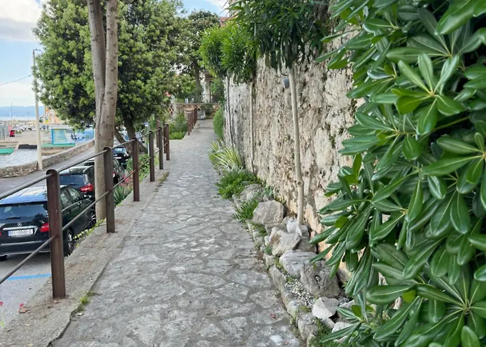 Apartament Mirna - What Is What Get