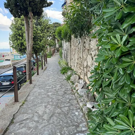 Apartament Mirna - What Is What Get