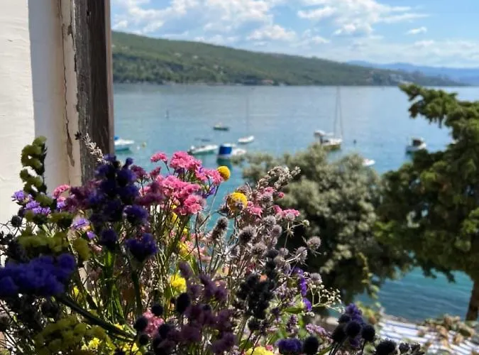 Mirna - What Is What Get Apartamento